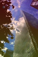 新农开发:张萍萍因退休辞去监事会监事一职故辞去公司监事会监事一职